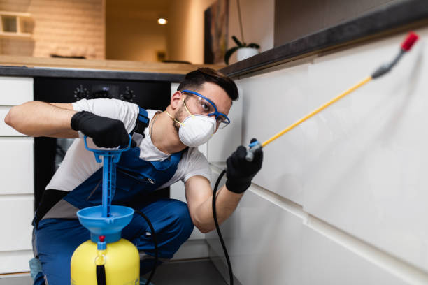 Best Pest Control for Homes  in Bunk Foss, WA