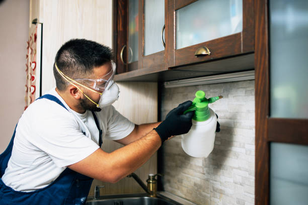 Best Cockroach Control Services  in Bunk Foss, WA