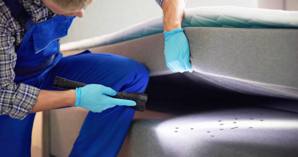 Best Exterminator Services  in Bunk Foss, WA