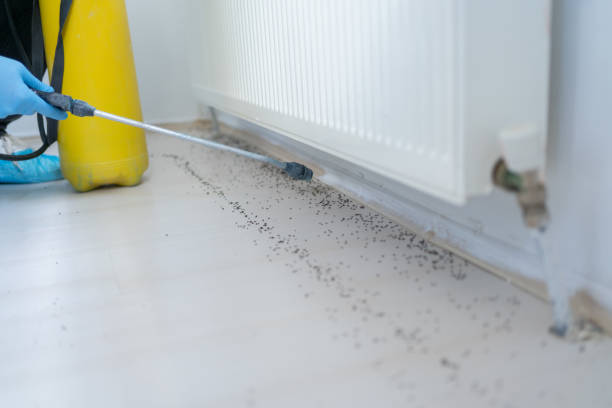 Best Pest Removal Services  in Bunk Foss, WA