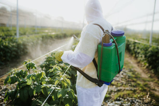 Best Pest Prevention Services  in Bunk Foss, WA